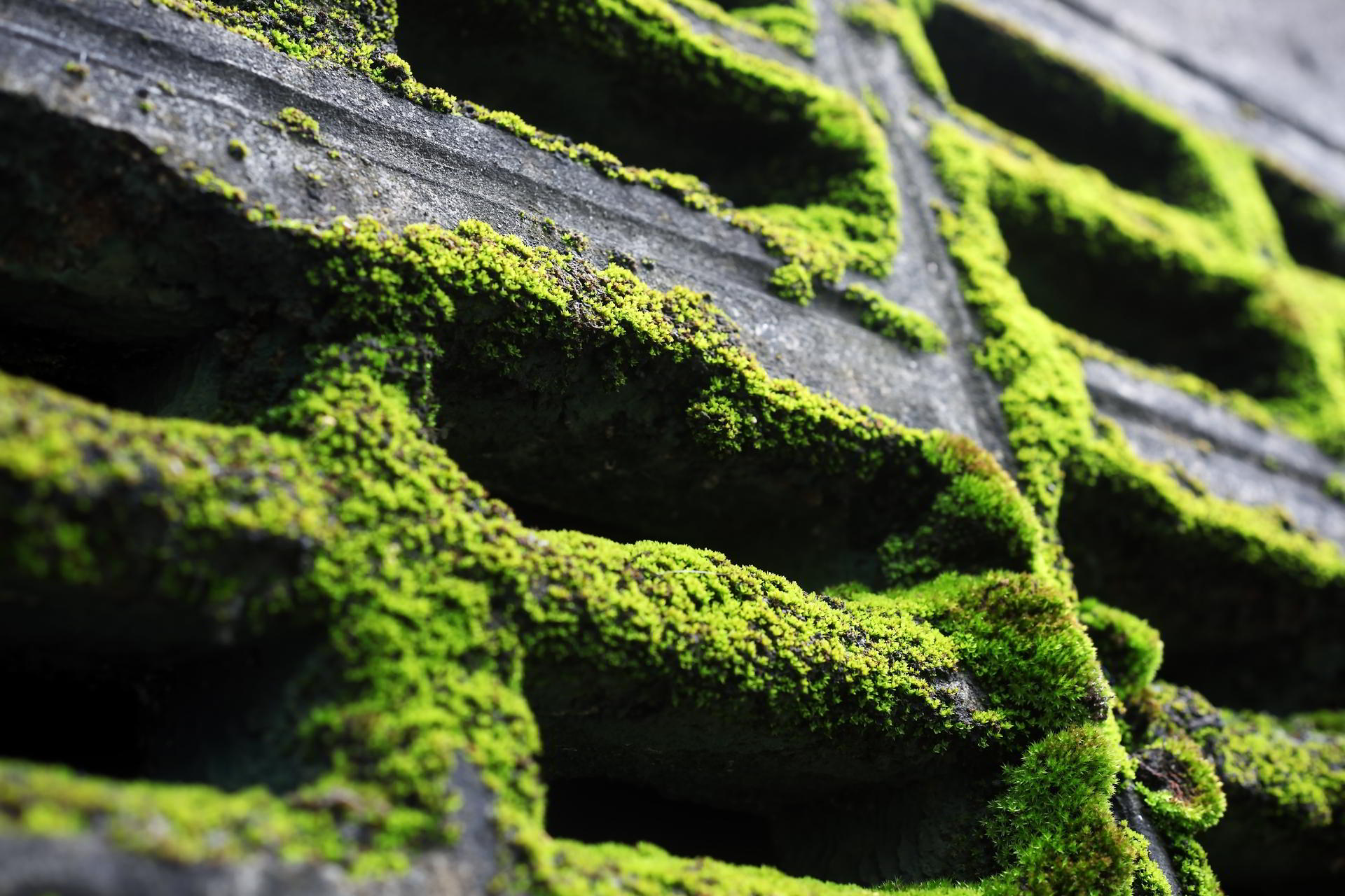 AdobeStock_97663933