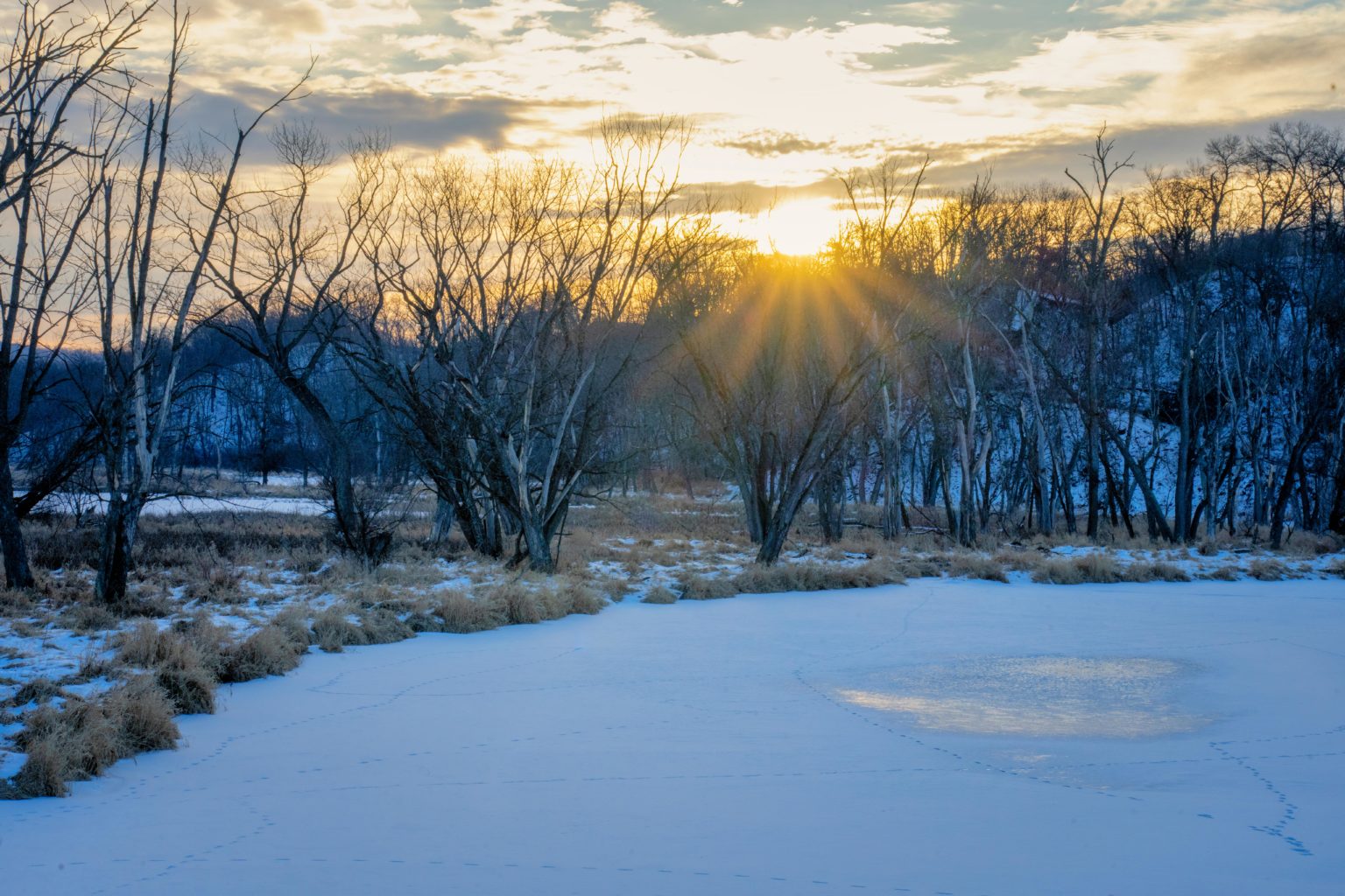 pexels-tomfisk-30905067