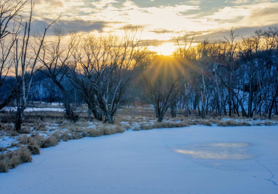 pexels-tomfisk-30905067
